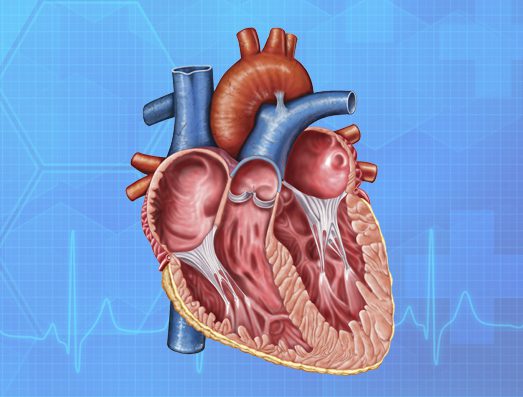 Valvular Heart Disease